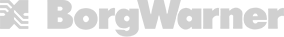 BorgWarner_logo_logotype